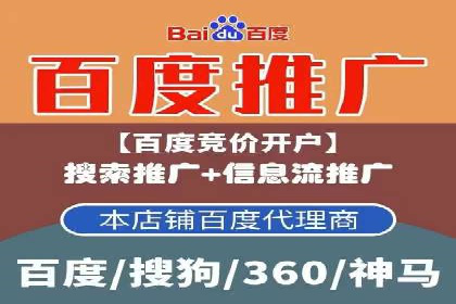 网站sem托管案例分享：如何精准投放广告